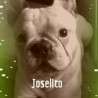 joselito3